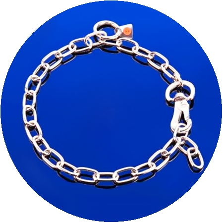 Dog collar Hs Sprenger Silver Length Links (76 cm) main image 1